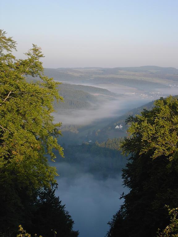 Ferienwohnung Eifelluft Daun Pokoj fotografie